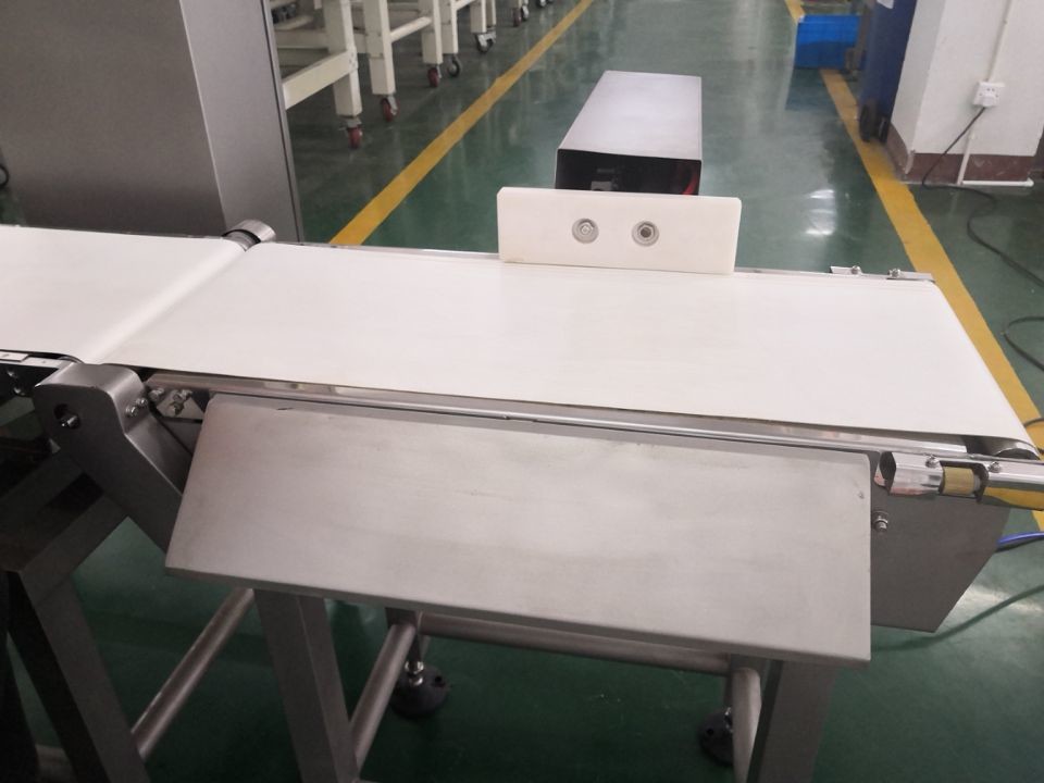 0.2g Scale Interval In Line Checkweigher With Rejector