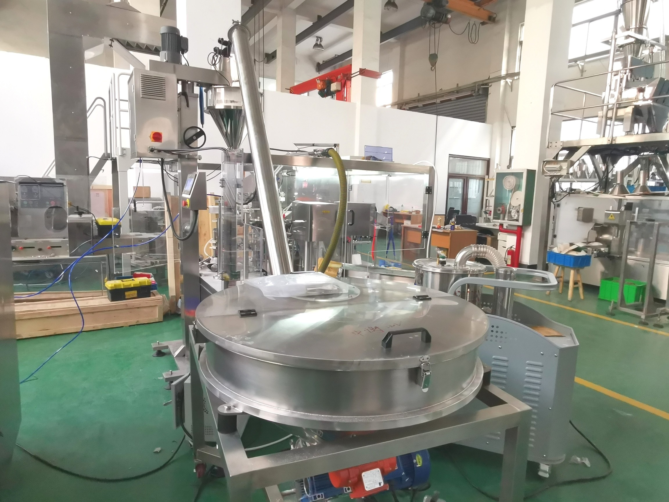 Stand Up Pouch Red Chilli Powder Packing Machine 100g 500g Automatic